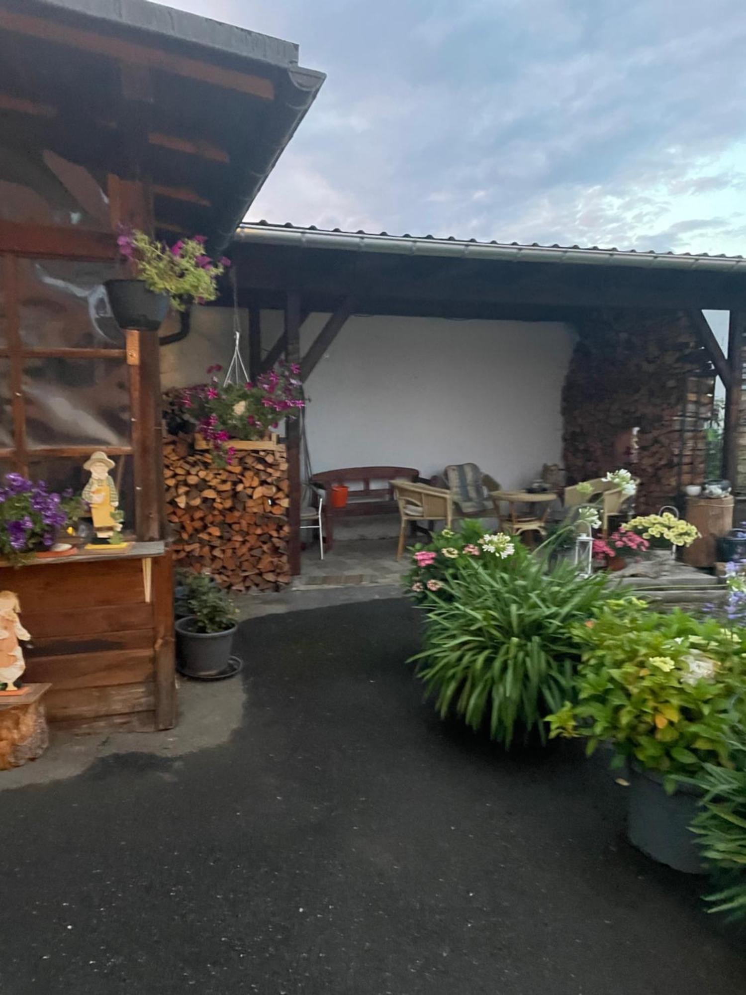 Ferienwohnung Greifenbach, Gartennutzung, Haustiere Willkommen 게예 외부 사진
