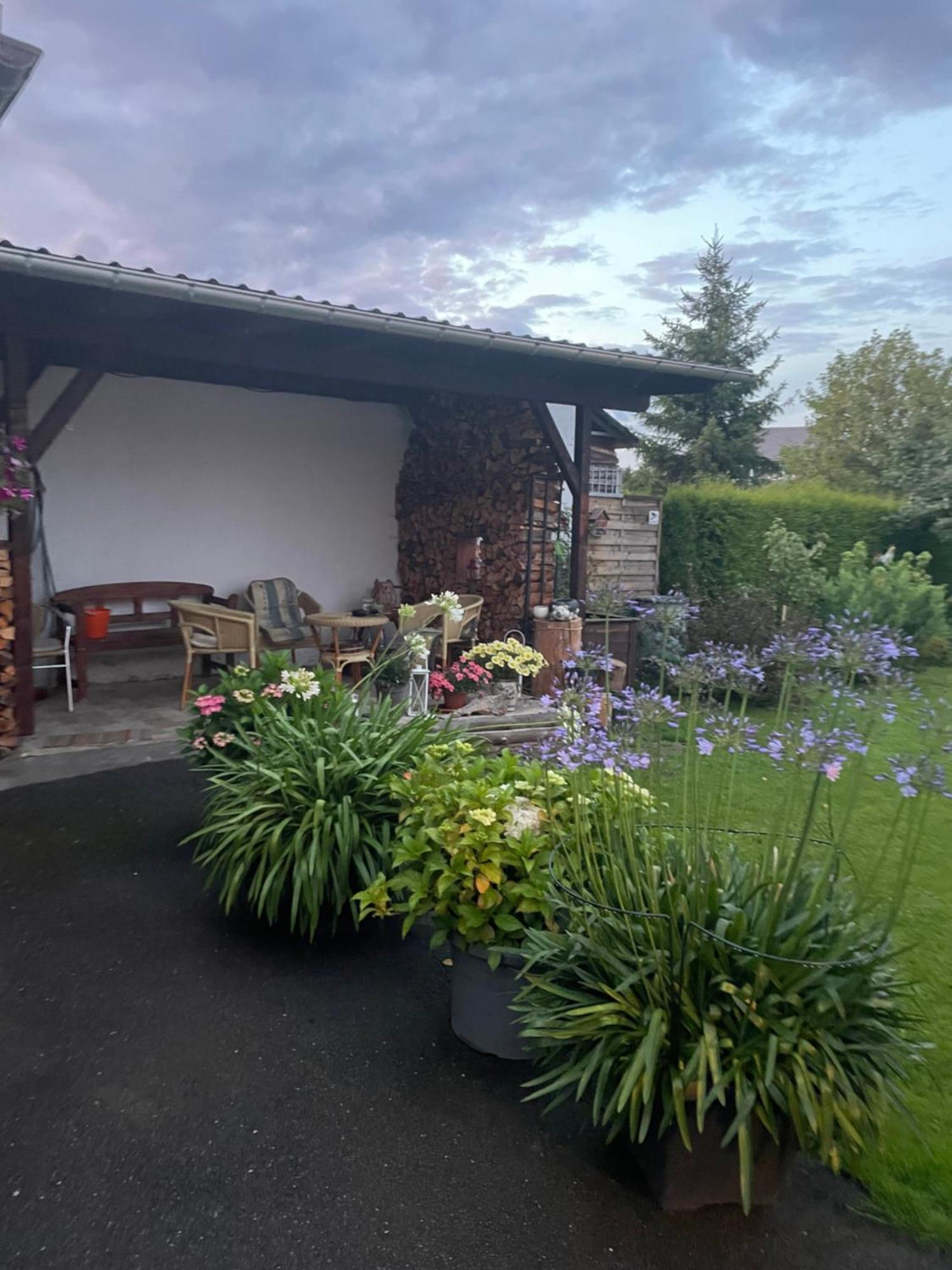 Ferienwohnung Greifenbach, Gartennutzung, Haustiere Willkommen 게예 외부 사진